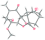 X-ray derived ORTEP of enone lactone 3 with thermal ellipsoids shown at the 50% probability level.