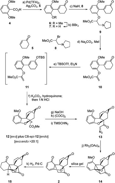 Construction of dienone 2. Reagents and conditions: (a) 5 (1.6 equiv.), Pd(TFA)2 (0.2 equiv.), Ag2CO3 (2.0 equiv.), DMF/DMSO (20 : 1), 80 °C, 3 h, 89%; (b) BBr3 (1.8 equiv.), CH2Cl2, −15 °C, 2.5 h, 70%; (c) NaH (2.1 equiv.), THF, 0 → 23 °C, 1 h; then 8 (5.0 equiv.) 0 → 23 °C, 16 h; (d) Na2CO3 (5.0 equiv.), MeI (10.0 equiv.), MeOH, reflux, 2 h, 80% over the two steps; (e) TBSOTf (1.5 equiv.), Et3N (3.0 equiv.), CH2Cl2, 0 °C, 1.5 h; (f) K2CO3 (4.8 equiv.), hydroquinone (1.2 equiv.), toluene, reflux, 16 h; then 1.0 N aq. HCl, 1 h, 23 °C, 64% over the two steps; (g) NaOH (1.0 N aq.)/EtOH (1 : 1), 60 °C, 5 h; (h) (COCl)2 (5.0 equiv.), DMF (1 drop), CH2Cl2, reflux, 1 h; (i) TMSCHN2 (5.0 equiv.), THF–CH3CN (1 : 1), 0 °C, 2 h, 79% over the three steps; (j) Rh2(OAc)4 (0.1 equiv.), CH2Cl2, 23 °C, 1 h, 75%; (k) 10% Pd/C (0.26 equiv.), H2, EtOAc, 23 °C, 24 h, 87%.