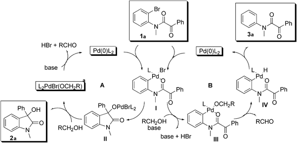 Proposed mechanism.