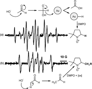 
          DMPO
          spin adducts formed in a reaction of acetaldehyde in basic media. (a) DMPO–H formation in the presence of PI-Au and (b) DMPO–CH2R adduct formation in the absence of catalyst (R = COH).