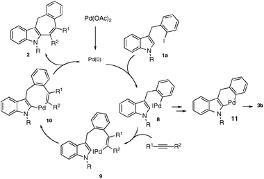 Proposed mechanism.