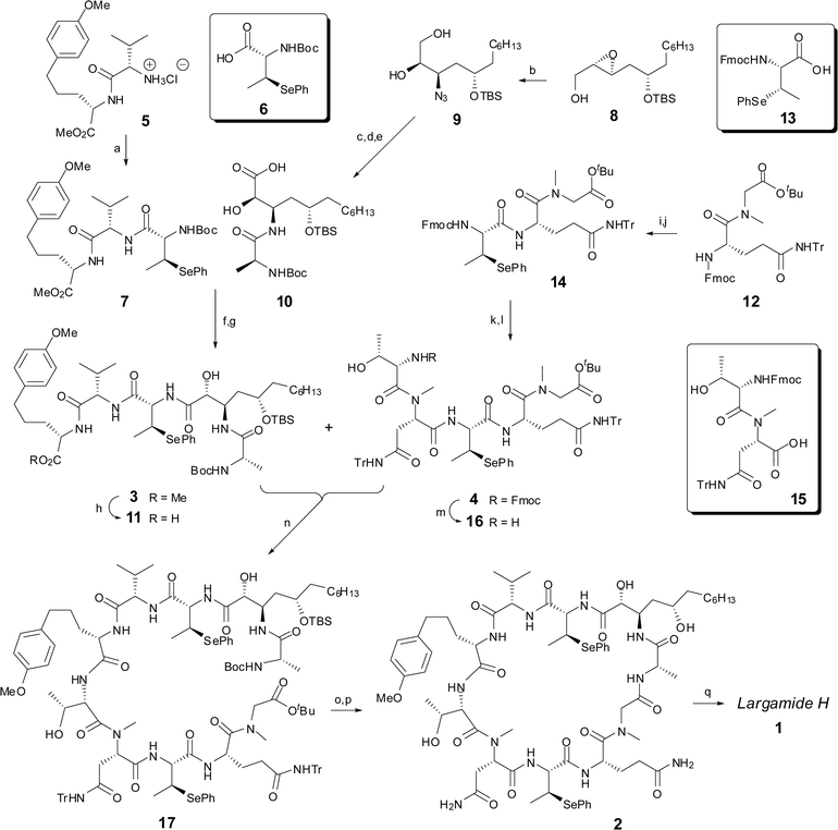 
          Reagents and conditions: (a) 6, PyAOP, DIPEA, CH2Cl2, 59%; (b) TMSN3, Ti(OiPr)4, benzene, reflux, 76%; (c) Pd/C, H2; (d) Boc-l-Ala-OH, PyAOP, DIPEA, 81% (two steps); (e) TEMPO, NaClO2, NaClO, phosphate buffer pH = 6.5, 35 °C; (f) 7, TFA, CH2Cl2; (g) 10, PyAOP, DIPEA, CH2Cl2, 54% (three steps); (h) n-Bu4NOH, MeOH–THF–H2O, 100%; (i) Et2NH, MeCN, 100%; (j) 13, PyAOP, collidine, HOAt, CH2Cl2, 91%; (k) Et2NH, MeCN, 100%; (l) 15, PyAOP, collidine, HOAt, CH2Cl2, 79%; (m) Et2NH, MeCN, 69%; (n) HATU, DIPEA, DMF–CH2Cl2, 58%; (o) TFA, CH2Cl2; (p) HATU, DIPEA, DMF, 46%; (q) NaIO4, CH2Cl2–H2O, 60%.