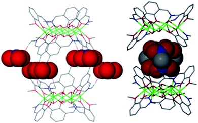 Molecular structures of 1 and 2 in the crystal highlighting the empty cavity and belt of NO3− anions in 1 (left) and the disordered guest MeNO2 molecules in 2 (right) within the host cavities.