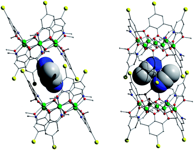 Molecular structures of 3 in the crystal showing the slightly tilted molecular cavity accommodating guest MeCN pairs (space-filled).