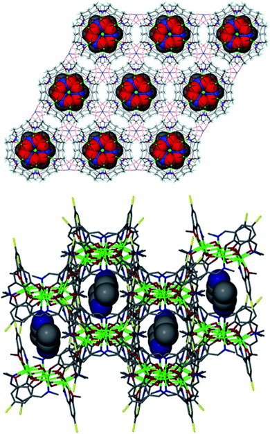 Crystal packing observed in 2 (top) and 3 (bottom) showing the molecular cavities accommodating guest MeNO2 (red spheres) and MeCN (grey/blue spheres) solvent molecules, respectively. NO3− counter anions omitted for clarity in both cases.