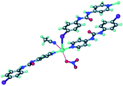 The Ag(i) ion is coordinated by one anion, one MeCN solvent molecule, two pyridyl moieties and is in close proximity of a halogen atom from the ligand.35