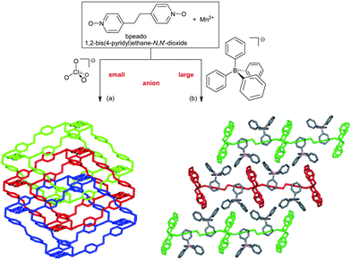 Mn(bpeado)32+ networks: (a) three-fold interpenetrated 3D networks with a ClO4− anion and (b) 2D rectangular, non-interpenetrating, (4,4) layers with a BPh4− anion. Anions not depicted for clarity with the networks.89