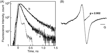 (A) Fluorescence decay curves of (a) (P(H2P)16 + C60)m and (b) (P(H2P)16)m modified electrodes. The fluorescence decays are observed at 650 nm by the time-correlated single-photon counting method. The excitation wavelength is 420 nm and IRF (instrument response function) curves are presented for each decay. (B) ESR spectrum of photoirradiated (P(ZnP)16 + C60)m in acetonitrile–toluene (3 : 1, v/v) under photoirradiation of a high-pressure mercury lamp, measured at 123 K.97