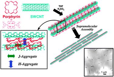 Illustration of a supramolecular assembly between protonated porphyrins and single wall carbon nanotubes (SWCNT) in this study.67