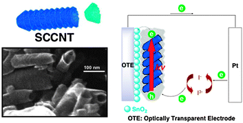 Illustration and SEM image of stacked-cup carbon nanotubes (SCCNT) and their application to the photoelectrochemical cell in this study.110