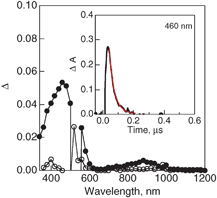 Nanosecond transient absorption spectra of H2P(CO2H)4–TriEG nanoassemblies (H2O–THF, 15 : 1, v/v) observed by 532 nm laser light (ca. 3 mJ per pulse) irradiation at 0.1 μs (●) and 1.0 μs (○) in an Ar-saturated solution. Inset: time profile at 460 nm. [H2P(CO2H)4] = 0.05 mM in H2O–THF (15 : 1, v/v).71