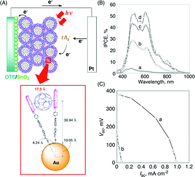 (A) Illustration of a photoelectrochemical cell and the insertion of C60 between two porphyrin rings in H2PC15MPC. (B) OTE/SnO2/(H2PCnMPC + C60)m ([H2P] = 0.19 mM, [C60] = 0.31 mM); (a) n = 5, (b) n = 11, (c) n = 15, (d) [H2P] = 0.19 mM, [C60] = 0.38 mM, n = 15. Electrolyte: 0.5 M NaI and 0.01 M I2 in acetonitrile. (C) Current–voltage characteristics of (a) OTE/SnO2/(H2PC15MPC + C60)m and (b) OTE/SnO2/(H2P-ref + C60)m under visible light illumination (λ > 400 nm). Electrolyte: 0.5 M NaI and 0.01 M I2 in acetonitrile; input power: 11.2 mW cm−2. The chemical structure of H2P-ref is shown in Fig. 8.88