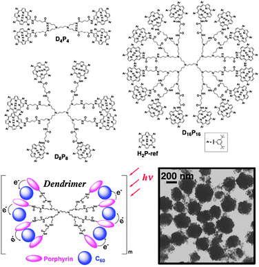 Porphyrin dendrimers and the reference compound employed in this study. The TEM image is of (D8P8 + C60)m.95,96