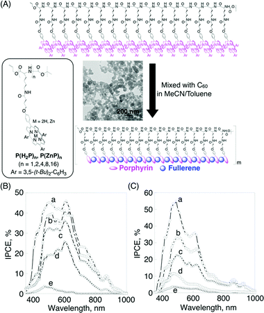 (A) Chemical structures of porphyrin–peptide oligomers employed in this study (left). The right Figure shows an organization process of P(H2P)16 with C60 [denoted as (P(H2P)16 + C60)m]. TEM image is of (P(H2P)16 + C60)m. (B) The photocurrent action spectra (IPCE vs. wavelength) of (a) (P(H2P)16 + C60)m, (b) (P(H2P)8 + C60)m, (c) (P(H2P)4 + C60)m, (d) P(H2P)2 + C60)m and (e) (P(H2P)1 + C60)m on OTE/SnO2 electrodes. (C) The photocurrent action spectra of (a) (P(ZnP)16 + C60)m, (b) (P(ZnP)8 + C60)m, (c) (P(ZnP)4 + C60)m, (d) (P(ZnP)2 + C60) and (e) (P(ZnP)1 + C60)m on OTE/SnO2 electrodes.97