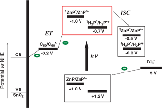 Schematic illustration of the photocurrent generation mechanism.97