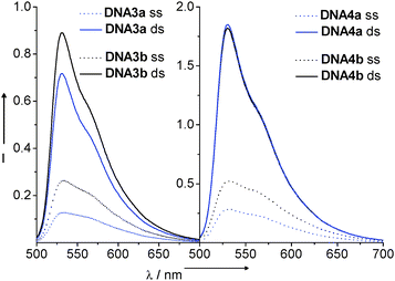 Fluorescence spectra of DNA3a–DNA4b: 2.5 μM in 10 mM NaPi buffer, pH 7, 250 mM NaCl, λexc = 490 nm (ss = single stranded, ds = double stranded).