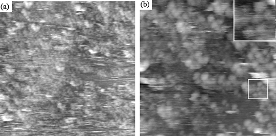 Scanning tunnelling microscopy images of dithiolane functionalised Er3N@C802 on Au(111). Spherical features are observed and these are attributed to the fullerene cages of the molecules. (a) A large scan area image (70 × 70 nm) showing that the layer is almost complete. (b) A more detailed image (40 × 40 nm) in which the positions of individual molecules can be identified. A small close-packed cluster is highlighted by a white square and is shown in the inset.