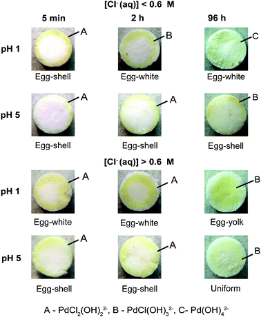 Photographs showing the different Pd macro-distributions developed as a function of the solution pH, Cl−(aq) concentration, and equilibration time; together with the Pd composition.