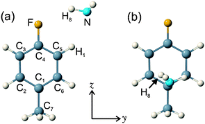 Schematic diagrams of the two most stable conformers, (a) σ and (b) π, for the electronic ground state of 4FT–NH3 conducted at the MP2/cc-pVTZ level of theory. The π-complex was determined to be the global minimum.