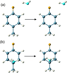 A comparison of the optimised geometries of (a) the σ- and (b) the π-conformers of 4FT–NH3 in the S0 ground (left) and S1 excited states (right). Both structures were optimised at the RICC2/def2-TZVPP level of theory.