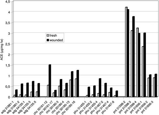 Antioxidant activity measured as ascorbic acid equivalent (ACE) in extracts prepared from (i) fresh tuber tissue and in those taken (ii) 24 h after wounding the tubers of different Solanum genotypes.