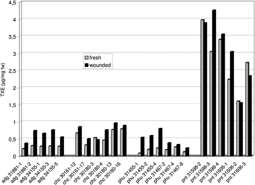 Antioxidant activity measured as trolox equivalent (TXE) in extracts prepared from (i) fresh tuber tissue and in those taken (ii) 24 h after wounding the tubers of different Solanum genotypes.