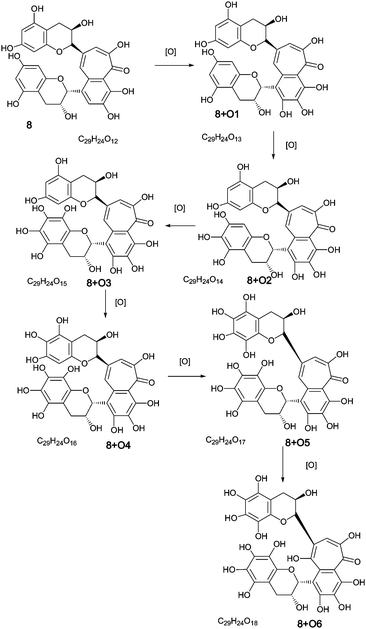 Homologous series A of oxygen insertion into theaflavin 8 (regioisomers selected randomly).