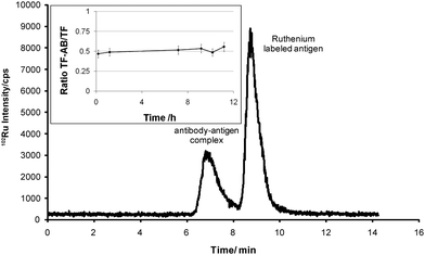 SEC-ICP-MS determination of Ru labeled antigen and antigen–antibody complex (experimental conditions as in Fig. 1): The transferrin (TF) adducts of indazolium trans-[tetrachlorobis(1H-indazole)ruthenate(III)] (KP1019, FFC14a) served as the ruthenium labelled antigen. Purification by SEC resulted in a solution containing 4.5 nmol mL−1 adduct with a metallodrug/protein ratio of 1 which was incubated with 5 fold molar excess of antibody. The figure inset shows the relative ratio of TF-antibody complex versus free TF during an investigational period of 12 hours. The error bars correspond to a total combined uncertainty of 10%.