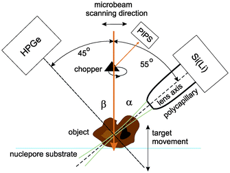 The confocal PIXE experimental set-up.