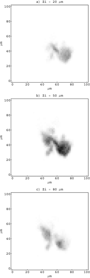 X-ray polycapillary maps recorded at 3 (out of 13) different longitudinal positions Zi of an object.