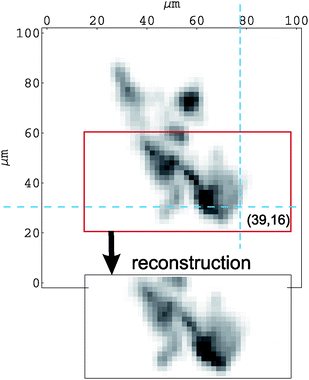 Comparison of the measured HPGe µ-PIXE map with the X-ray map generated from hematite concentrations reconstructed in 3 dimensions. The cross section of dashed lines marks the pixel presented in Fig. 4.