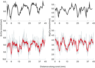 Comparisons of Sr/Ca and Mg/Ca ratios in BH-2 coral obtained by LA-ICP-OES and SN-ICP-OES. The two upper graphs show the results of SN-ICP-OES, and the two lower graphs show those of LA-ICP-OES. The bold lines in the lower two represent the data of LA-ICP-OES filtered by an 11 point moving average.