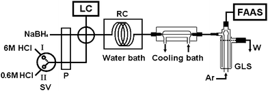 The flow manifold of the LC separation-gradient hydride generation-AAS system for arsenic speciation. LC: liquid chromatography; FAAS: quartz atomizer flame atomic absorption spectrometer; P: peristaltic pump; SV: selector valve; RC: reaction coil; GLS: gas–liquid separator; Ar: argon; W: waste; quartz atomizer.Valve position I: 6 mol/L HCl for the hydride generation of As(V), As(III) and MMA.Valve position II: 0.6 mol/L HCl for the hydride generation of DMA and TMAO.