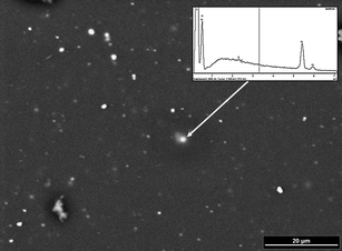 SEM picture of the sample BAM H010 with an EDX spectrum of one prominent particle (see arrow).