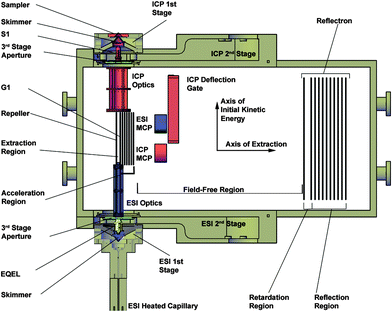 Schematic diagram of the dual-source time-of-flight mass spectrometer. A cutaway cross section is shown for the three differentially pumped vacuum stages to expose relevant components. An Electrostatic Quadrupole Extraction Lens (EQEL) is used in the ESI second vacuum stage to improve ion transmission, while a conventional extraction optic (S1) is used on the ICP channel. Each ion beam is independently focused into the extraction region by tailored ion optics. Ions are extracted from the continuous incoming ion beams between the repeller plate and first grid of the acceleration region (G1). Mass separation occurs in a shared field-free region and energy compensation is accomplished in a shared reflectron. Each channel has an independent microchannel plate detector (MCP).