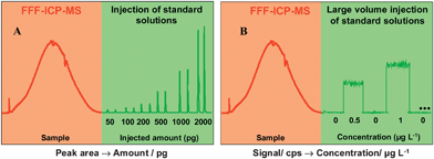 Quantification procedures.