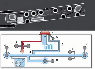 Top: photograph of the microfluidic chip; bottom: Schematic indication of the different functional units (the exact locations slightly differ from the photograph for the sake of clarity). (1) Sample opening with applied sample droplet; (2) evaporation reservoir; (3) injection channel for injection of cations by moving boundary electrophoresis; (4) double-T injector; (5) reservoir with gas bubble for liquid expansion control; (6) conductivity detection electrodes; (A, B) high-voltage injection anode and cathode; (C,D) high-voltage separation anode and cathode; (E) Electrodes for the conductometric determination of the sample conductivity.