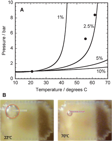 (A) Theoretical dependence of the intra-chip pressure on the temperature for four different bubble dimensions (defined as volume percentage of the total intra-chip volume). The black circles indicate measurement data for a bubble with a 2.5% volume. (B) Photomicrographs of the bubble reservoir inside the chip at 22 °C and 70 °C. The gas bubble is indicated by the red circle.