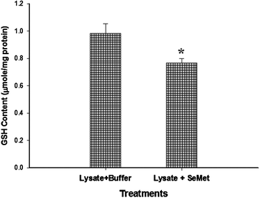 Reduction in the GSH content following the reaction of seleno-l-methionine with the S9 fraction of rainbow trout hepatocytes. Bar with asterisk shows significant decrease in the GSH content of reaction mixture (Mann-Whitney rank sum test, p ≤ 0.05, n = 10).