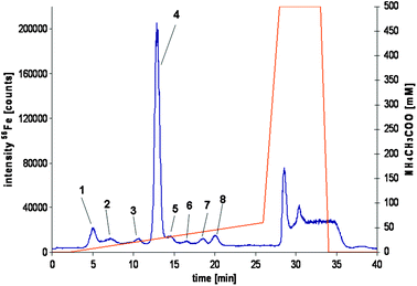 A typical chromatogram of a depleted seal plasma sample using anion exchange HPLC-ICP-MS for the separation and for element specific detection (56Fe isotope).