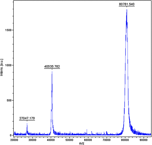 Annotated MALDI-TOF spectra of the main iron containing protein species (peak 4) obtained by element guided fractionation using anion exchange HPLC-ICP-MS.