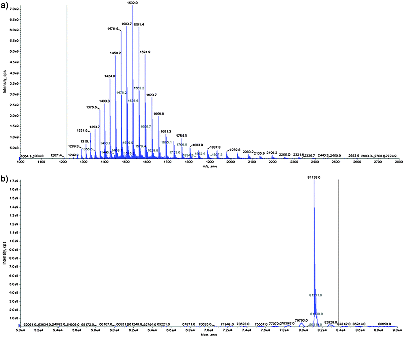 (a) Static nano ESI-QTRAP spectra of the main iron containing protein species obtained during the element guided fractionation using anion exchange HPLC-ICP-MS, (b) Data deconvolution revealed a molecular mass for the main isoform of about 81 kDa.