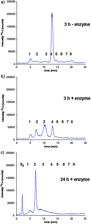 Enzymatic digestion of the Glycoproteins with α(2 → 3,6,8,9)Neuraminidase of serum of seal 1, prior to the sample preparation procedure and chromatographic separation of the Tf glycoforms using HPLC-ICP-MS detection: (a) incubation at 37 °C for 3 h without α(2 → 3,6,8,9)Neuraminidase; (b) incubation at 37 °C for 3 h with 5 U of α(2 → 3,6,8,9)Neuraminidase; (c) incubation at 37 °C for 24 h with 5 U of α(2 → 3,6,8,9)Neuraminidase.