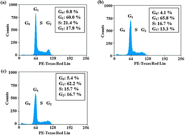 Effect of test compounds on cell cycle in MOLT-4 cells. MOLT-4 cells were treated with respective compounds for 24 h at the indicated concentration and fixed with ethanol. The cells were stained with propidium iodide to detect DNA content by flow cytometry analysis. (a) Solvent control, (b) [Cu(HBnz2)Cl] and (c) [Cu(HBu2)Cl].