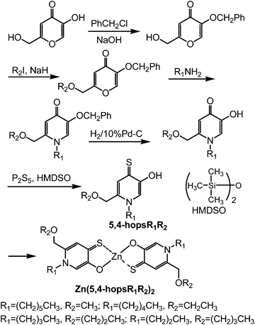 Synthesis of zinc complexes of 5,4-hopsR1R2.