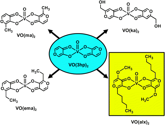 Structures of bis(3-hydroxypyronato)oxidovanadium(iv) (VO(3hp)2) and its related complexes. Abbreviations are as follows. VO(ma)2 = bis(maltolato)oxidovanadium(iv), VO(ema)2 = bis(ethylmaltolato)oxidovanadium(iv), VO(ka)2 = bis(kojato)oxidovanadium(iv), and VO(alx)2 = bis(allixinato)oxidovanadium(iv).