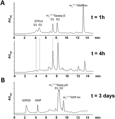 Typical HPLC profiles of reaction mixtures. (A) Progress in synthesis of 1 after 1 h and 4 h. (B) Synthesis of 2 after 3 days.