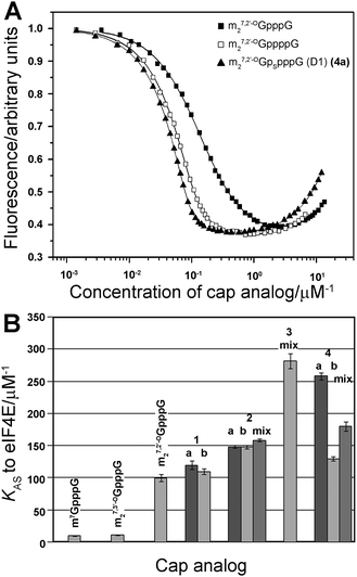 
            K
            AS constants for eIF4E–cap analog complexes. (A) Fluorescence quenching curves for titration of eIF4E with selected cap analogs (m27,3′-OGpppG, m27,2′-OGppppG and 4a). (B) Comparison of KAS values of 4P-S-ARCAs (1–4) with standard triphosphate analogs and unmodified tetraphosphate ARCA. The KAS values are means of 3 experiments.