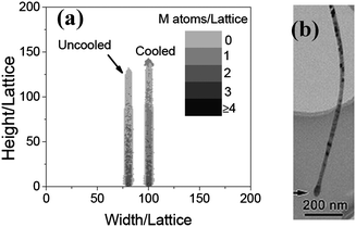 (a) The morphologies of the nanowires simulated (naturally cooled and uncooled, respectively) when Ta = 0.2, t = 600 and NO = 200. (b) An image of a typical α-Fe2O3 nanowire with a large head.7