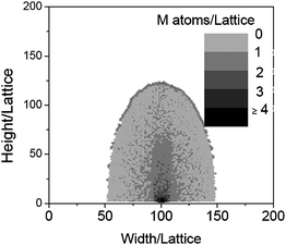 The morphologies of the nanowire simulated when ε = 1.5 in the traverse directionand other parameters are kept same as those in Fig. 2.